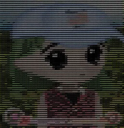 #5068